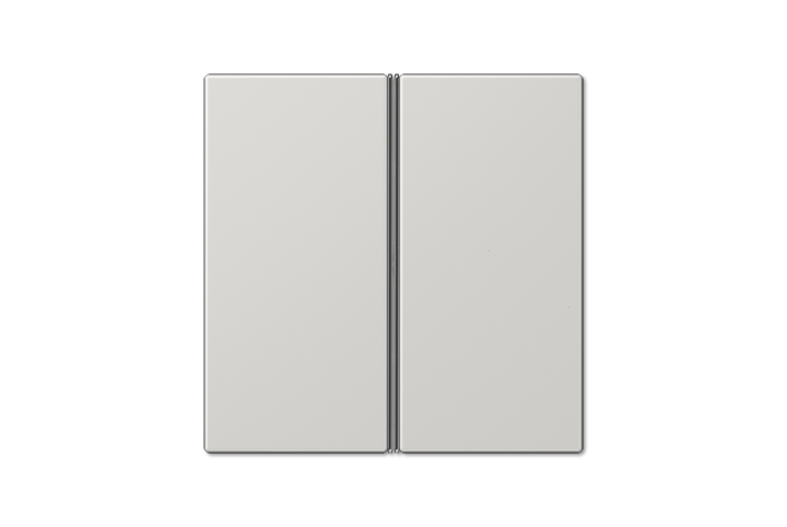 Ensemble mécanisme KNX platine de commande 2 voies multifonctions gris clair